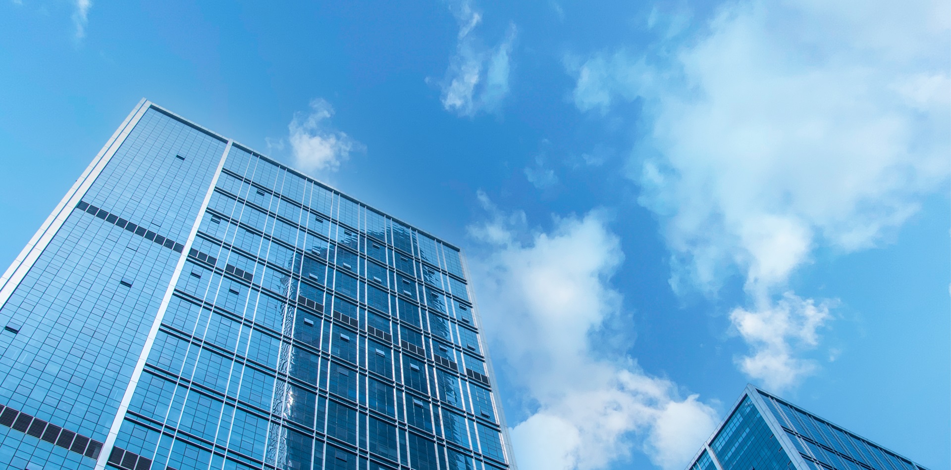 招标采购全过程服务商