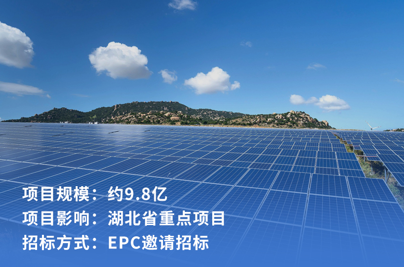 毛李镇250MW渔光互补光伏发电EPC项目