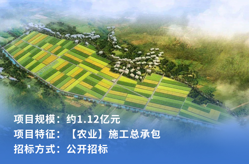 邵东市2022年度高标准农田建设项目