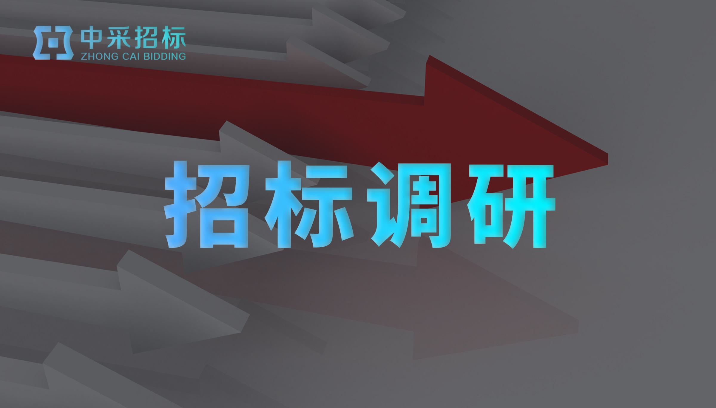 招标调研