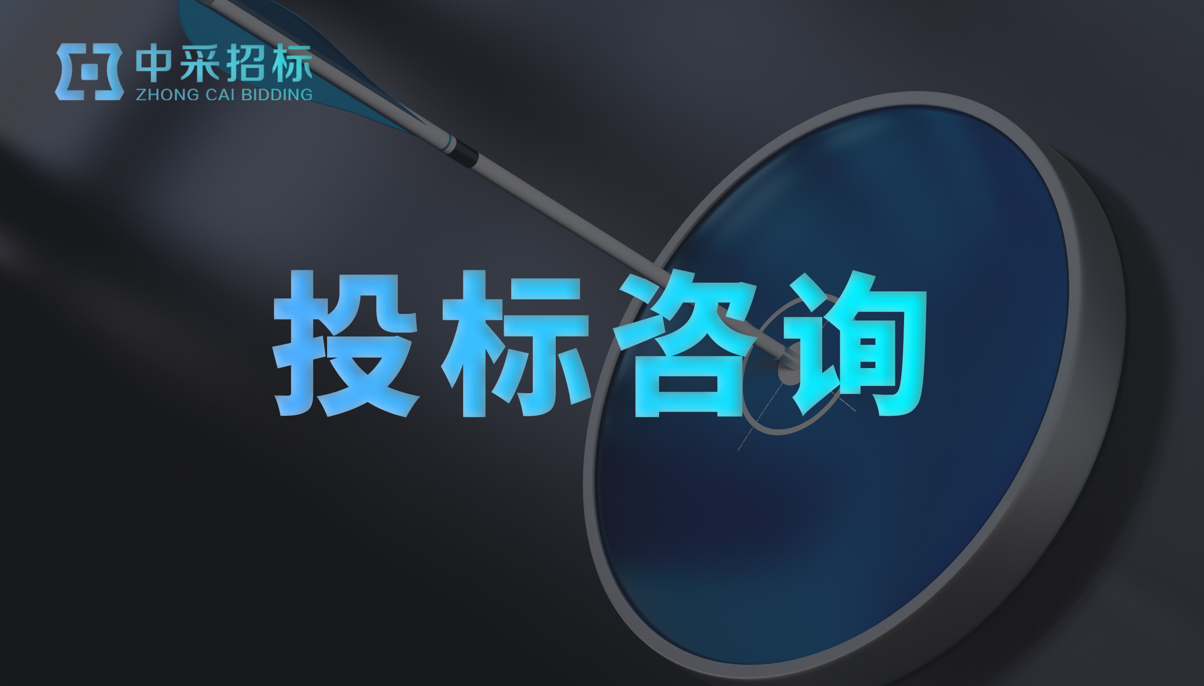 投标咨询