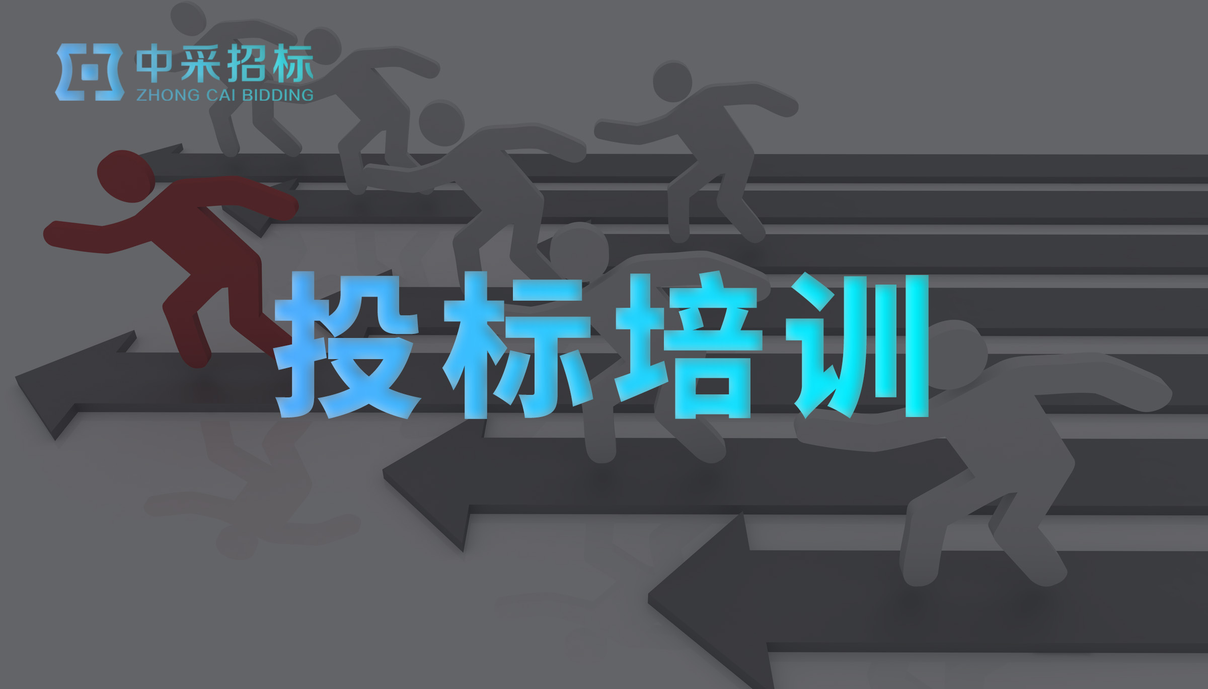投标培训
