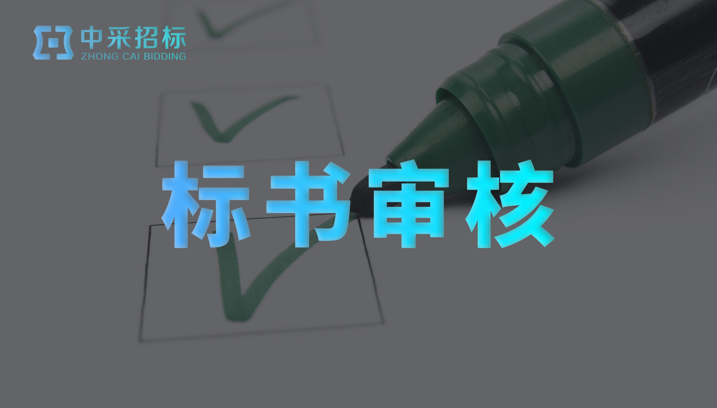 标书审核